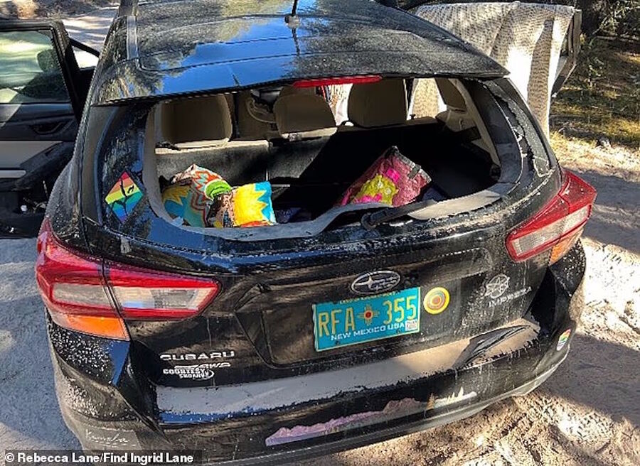 missing scientist car ufo Ingrid Coleen Lane