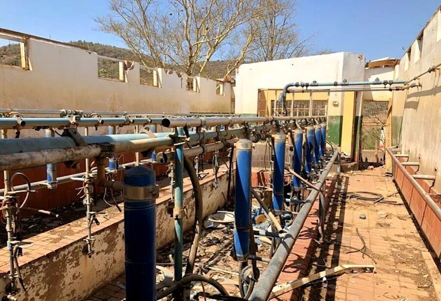abandoned dairy farm south africa land reform