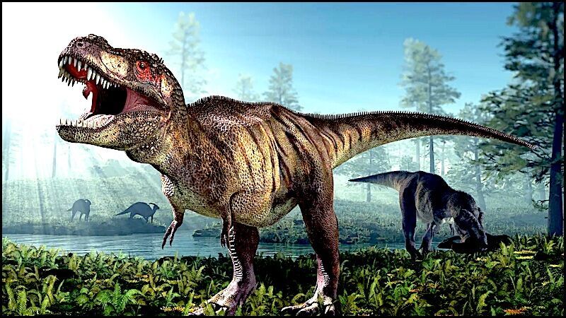 Tyrannosaurus rex