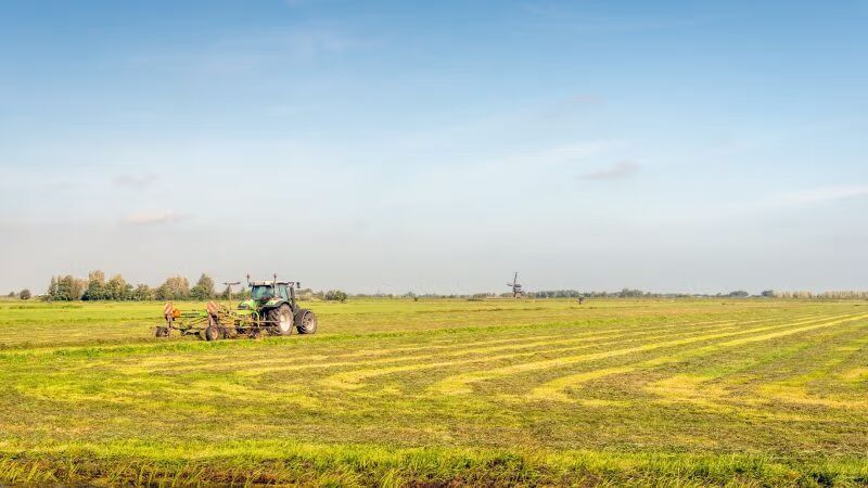 farm