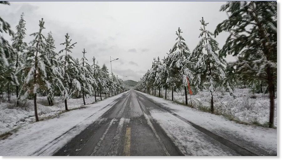 A snowfall blankets parts of Genhe, Inner Mongolia autonomous region, on Monday.