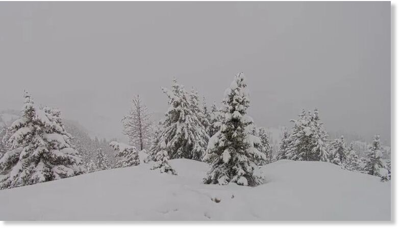 June 1 at Banff Sunshine, AB.