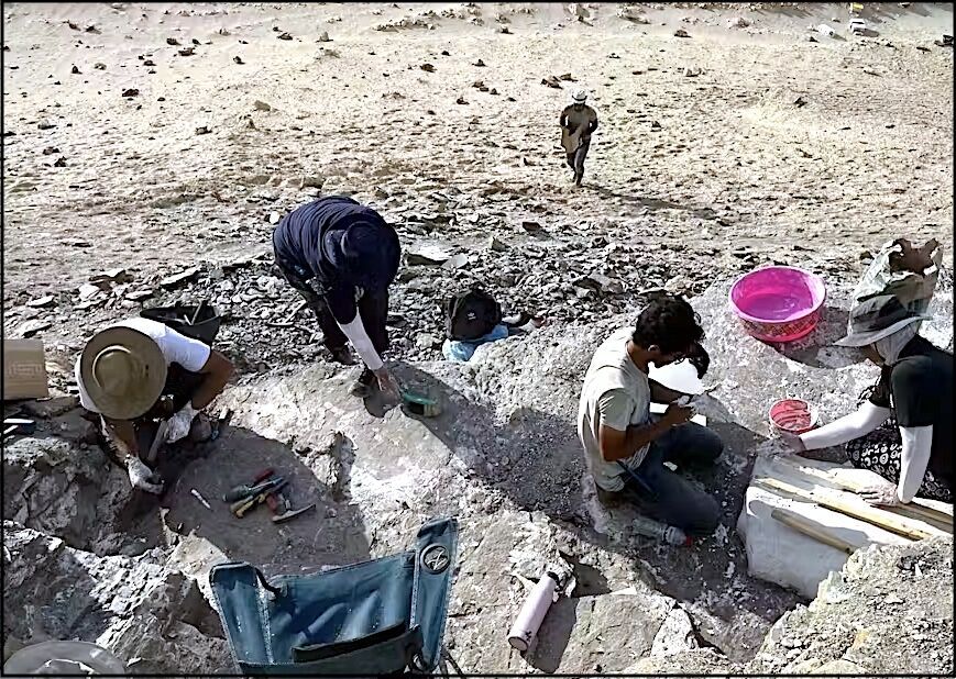 people digging