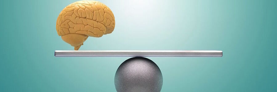 Click to enlarge brain in balance graphic