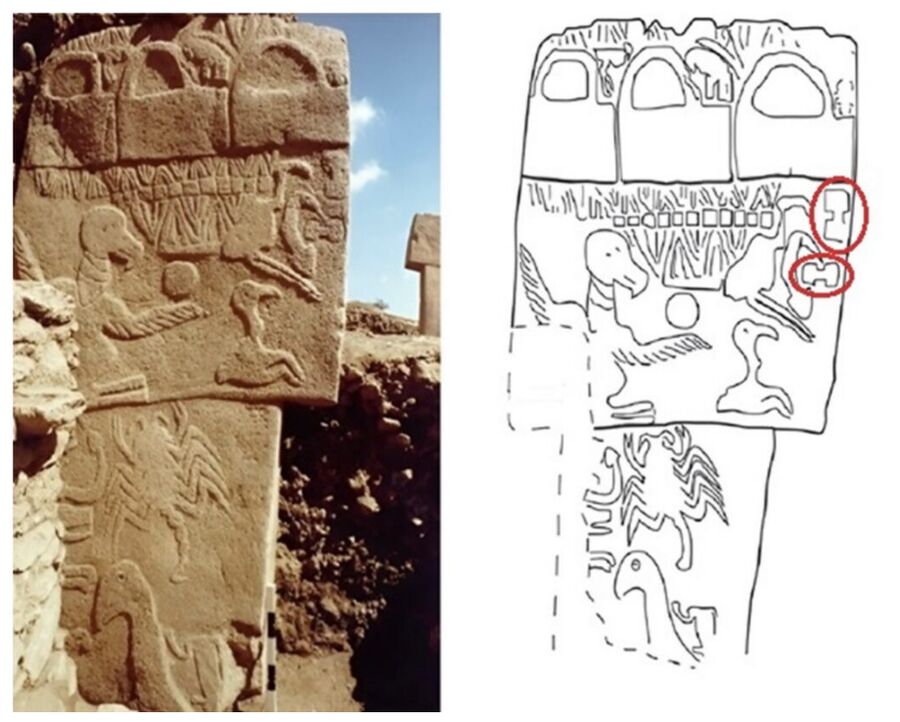 Click to enlarge Column 43 from Building D at Göbekli Tepe