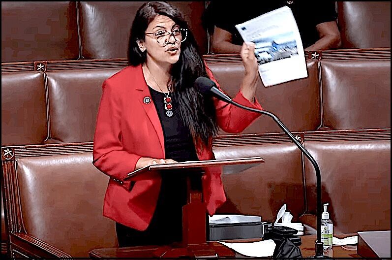 Click to enlarge Rashida Tlaib
