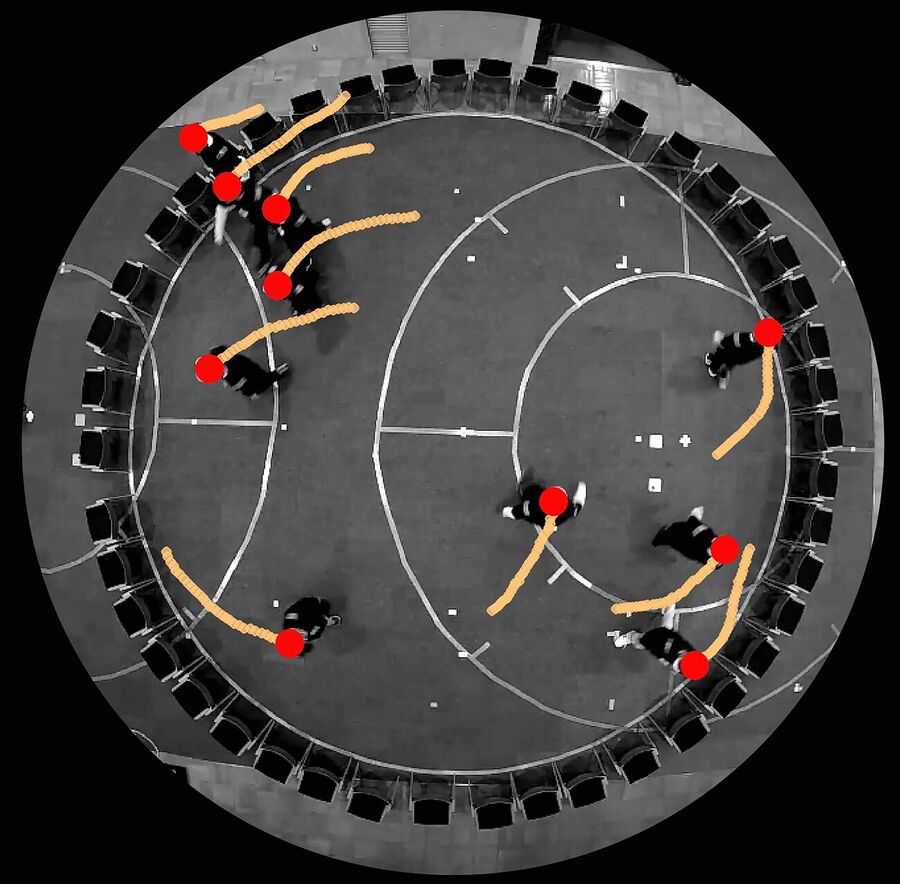 Click to enlarge humans prefer walk counterclockwise study
