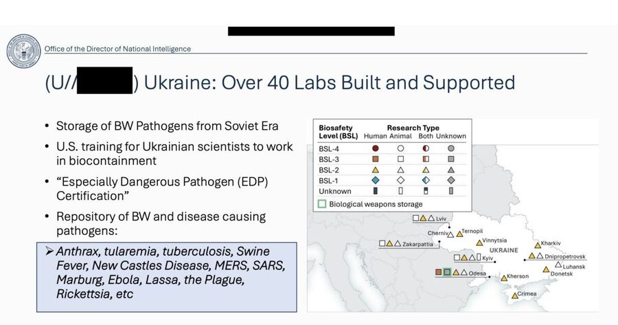 Click to enlarge 40 biolabs