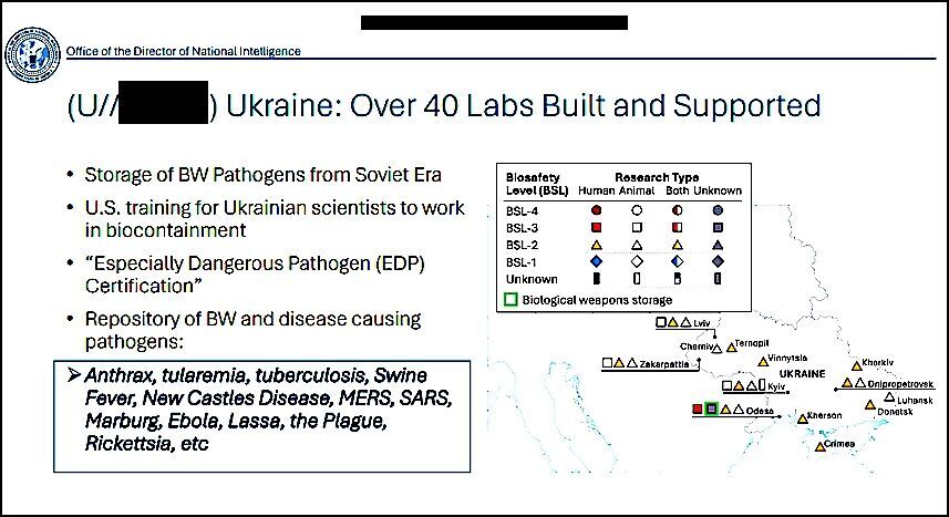 Click to enlarge Biolabs Ukraine