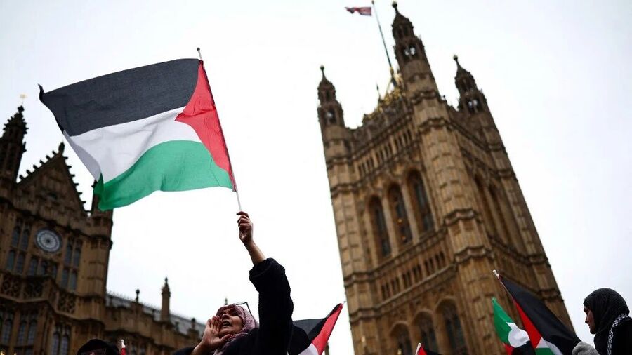 Click to enlarge A demonstrator waves a Palestinian flag