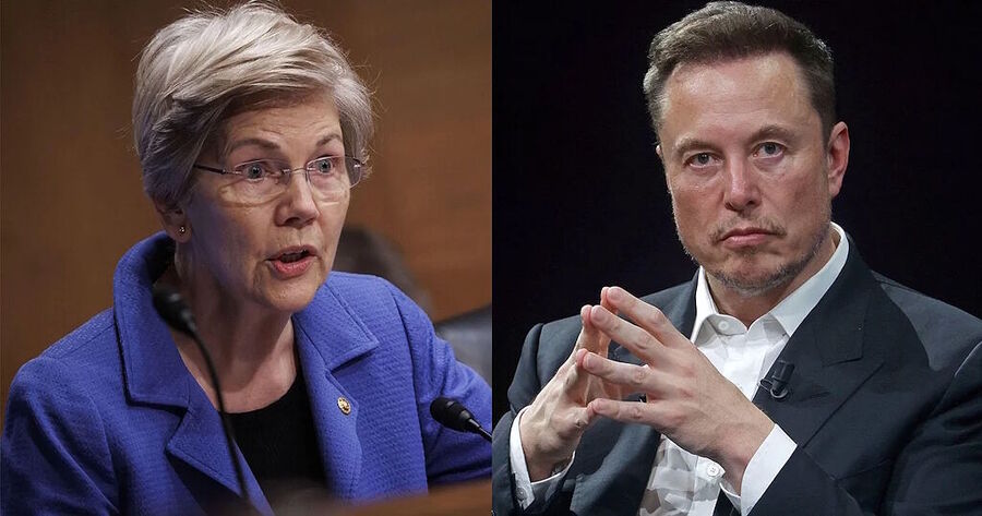 elizabeth Warren elon Musk