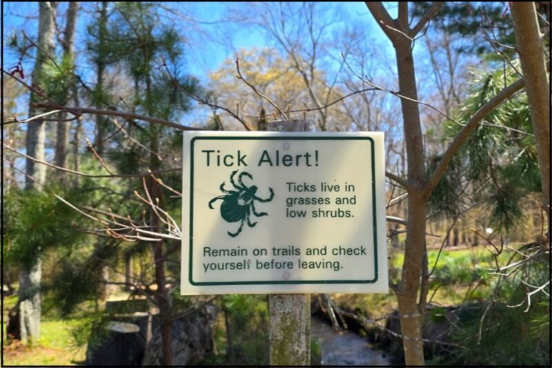 Click to enlarge tick alert sign