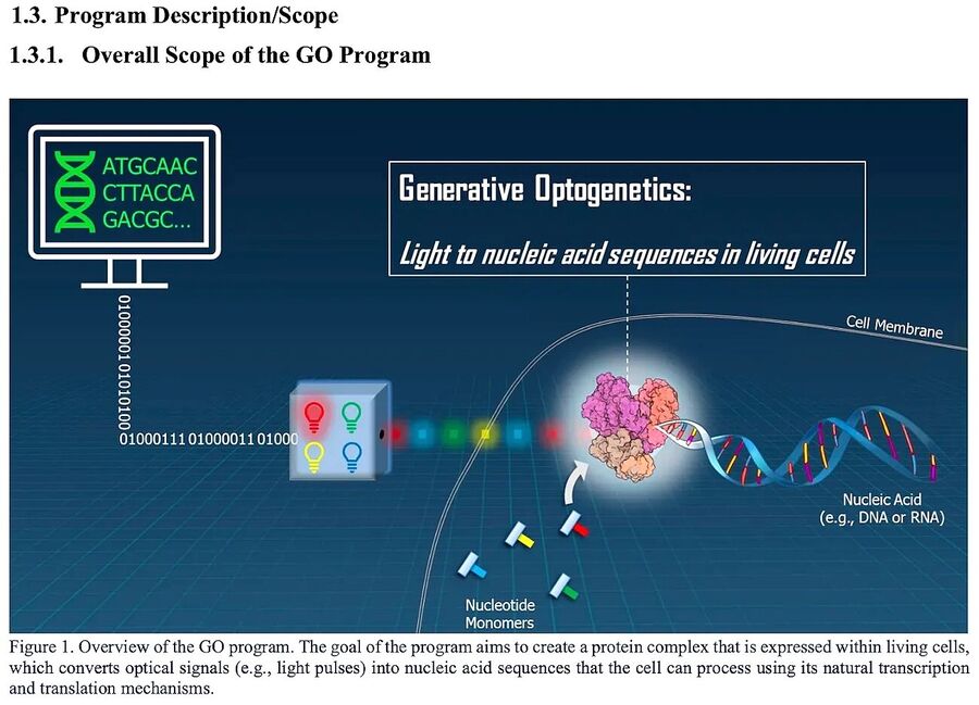 Click to enlarge generative optogenetics gene control light waves brain