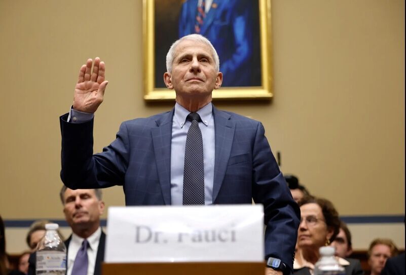 Click to enlarge Fauci testifies