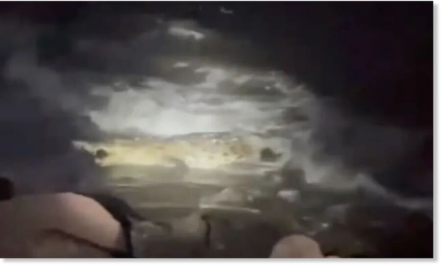Video shows crocodile that killed Puerto Vallarta man