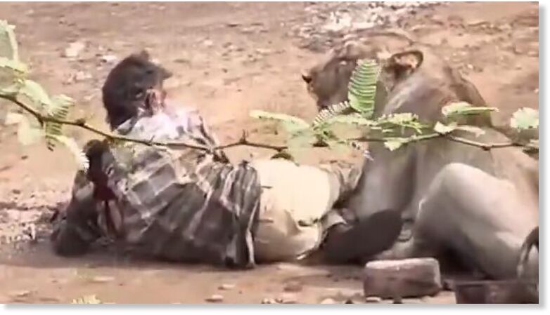 Screengrab of the video where the lioness attacked a cattle keeper.
