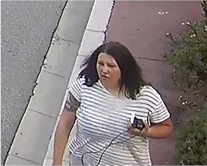 Anastasiia Berezovska suspect monaco bombing