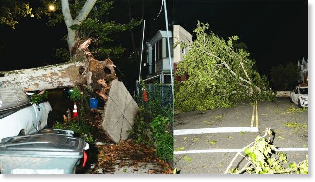 Damage from microbursts in Philadelphia, on July 11, 2026. The storm downed trees and caused damage to buildings across the city.