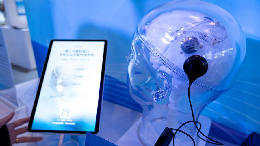 brain interface