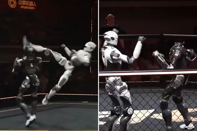 Click to enlarge two robots can be seen sparring, and one is decapitated