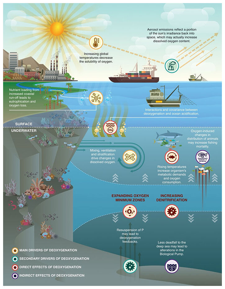 Click to enlarge Ocean interactions