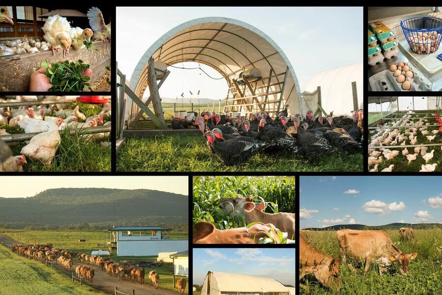 Polyface Farms, in Swoope, Va.