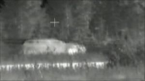 Click to enlarge Image