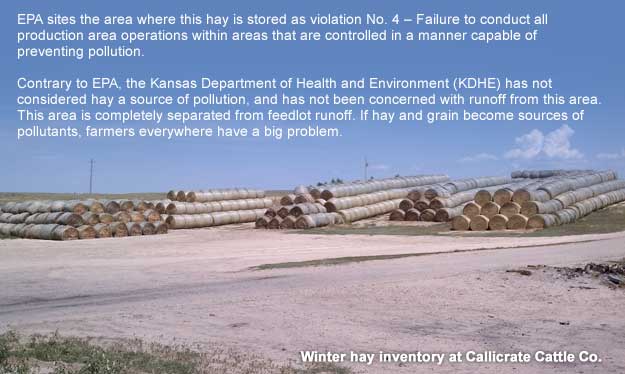 winter hay