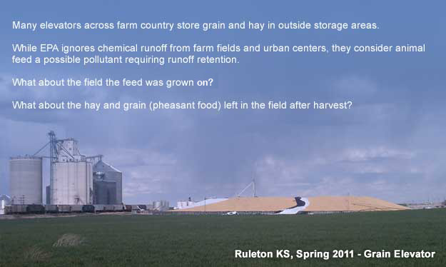 Click to enlarge grain field