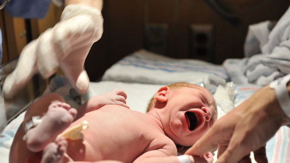 Click to enlarge NewBorn