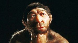 Human-neanderthal mating
