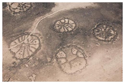 Click to enlarge Azraq Oasis