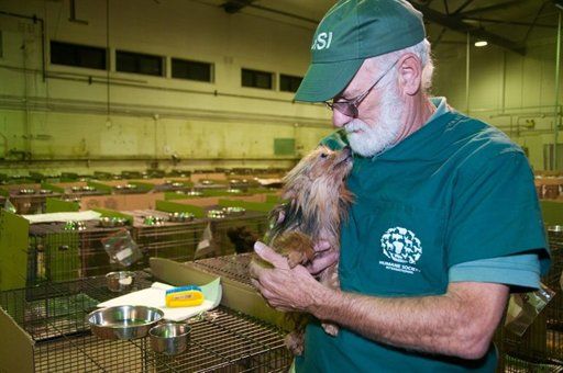 Click to enlarge animal abuse canada