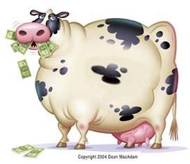 Cash Cow