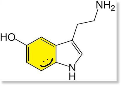 Click to enlarge Happy Serotonin