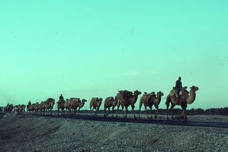 Silk Road_1