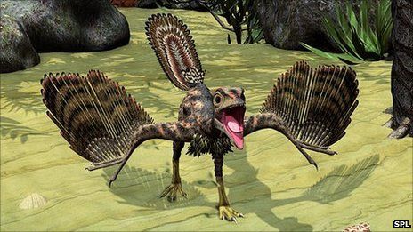 Click to enlarge Archaeopteryx artist's impression