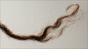  Lock of Aboriginal hair A lock of hair is all that is needed to decode the history of an entire race
