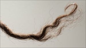 Click to enlarge Lock of Aboriginal hair A lock of hair is all that is needed to decode the history of an entire race