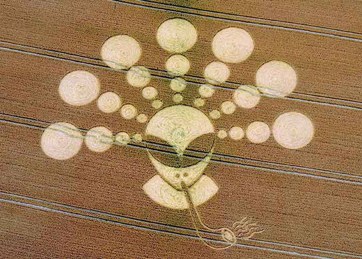 crop circle, smoking alien