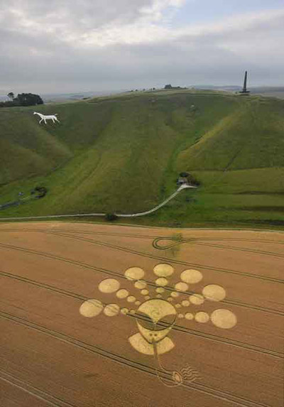 crop circle, smoking alien