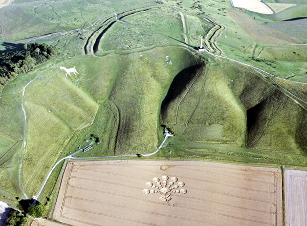 crop circle, smoking alien