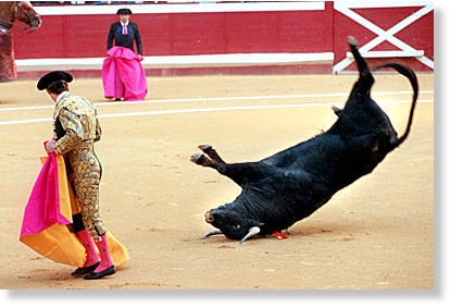 Bullfighting