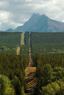Click to enlarge US Canadian border