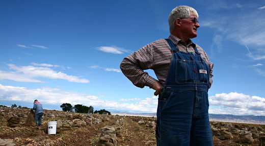 Click to enlarge farmer