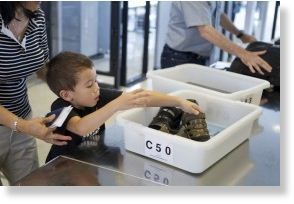 TSA