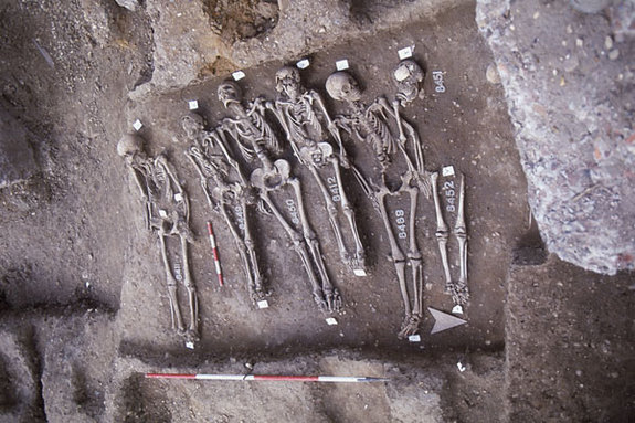 Click to enlarge Black Death