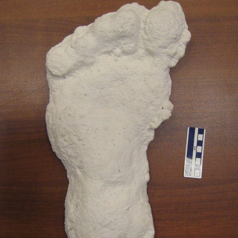 Click to enlarge Bigfoot
