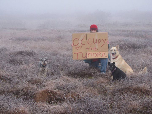 occupy the tundra