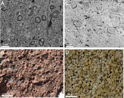 Click to enlarge Impact Ejecta